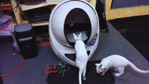 Litter Robot